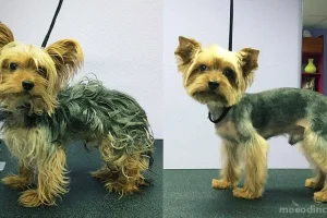 Груминг-салон Pets groom фото 2