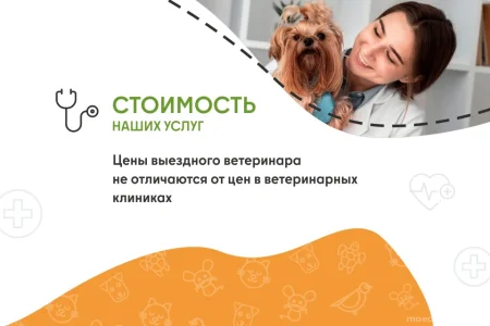 Ветеринарная служба ВетСкорая24 на улице Маковского фото 8